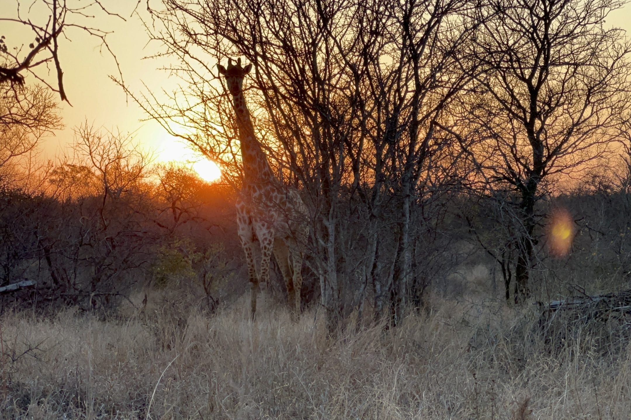 Read more about the article Our Program