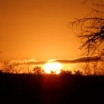 Introducing Lowveld Trails Co.