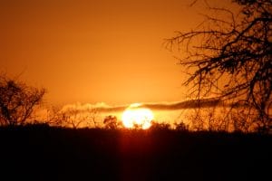 Read more about the article Introducing Lowveld Trails Co.