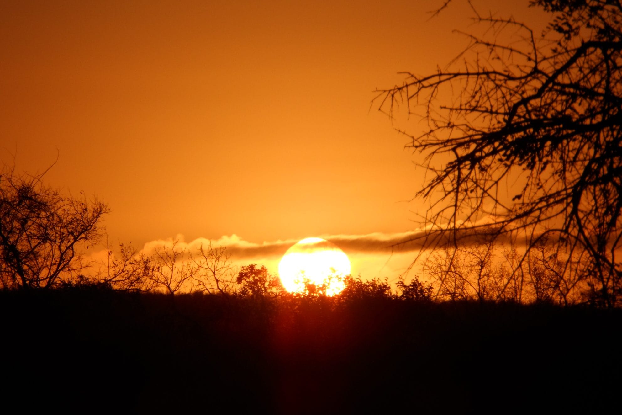 Read more about the article Introducing Lowveld Trails Co.